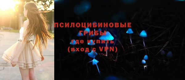 молекула духа Балахна