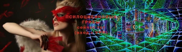 молекула духа Балахна