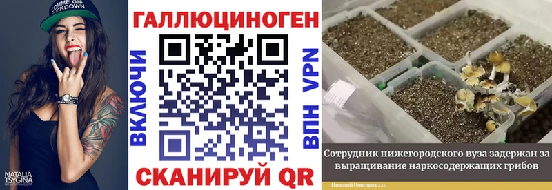 Псилоцибиновые грибы GOLDEN TEACHER  кракен рабочий сайт  Макаров 